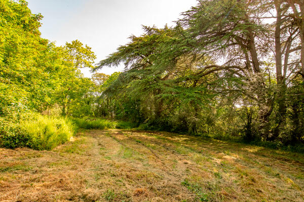 Parc (vestiges) de la Pescherie