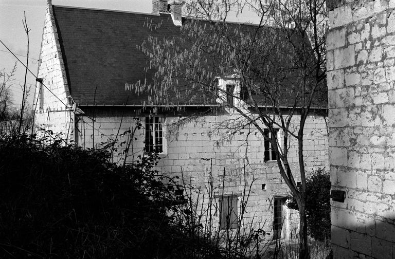 Maison, 29 rue Saint-Jean-de-l'Habit, Fontevraud-l'Abbaye