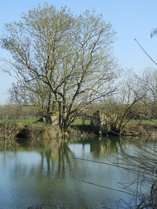 Passerelle de halage ; île de Charouin