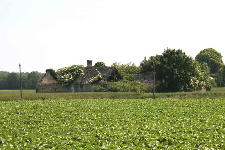 Dissé-sous-le-Lude : présentation de la commune