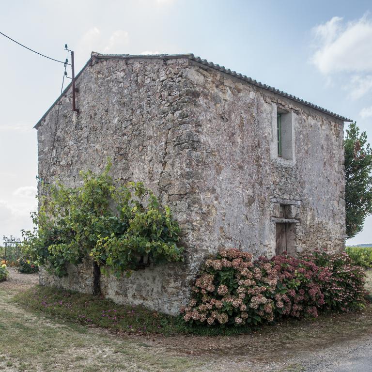 Habitation avec étage en surcroît habité. Mur pignon et façade postérieure. La Grenaudière, Maisdon-sur-Sèvre. Cadastre 2018, BL 01-203.