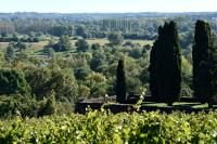 Jardin du château de la Roche-aux-Moines