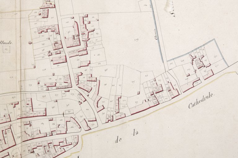 Analyse de l'évolution de la ville de Luçon