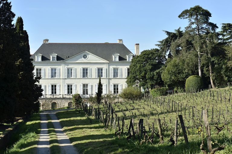 Maison de maître puis château de la Roche-aux-Moines