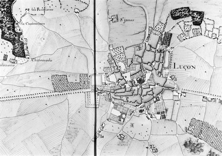 Analyse de l'évolution de la ville de Luçon