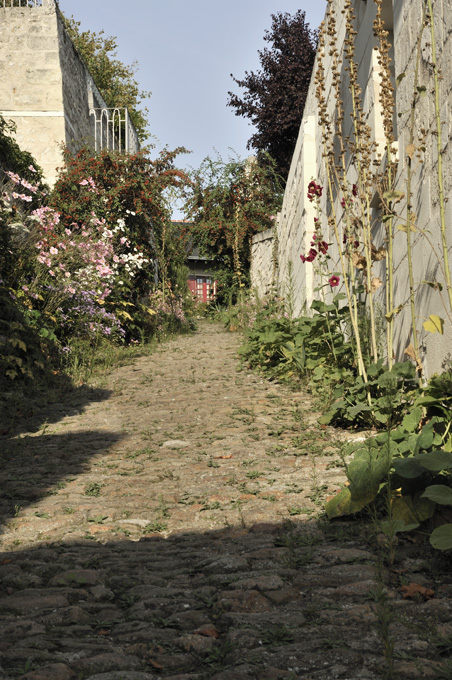 Édifice non identifié, ruines, 8 rue de la Fontaine, Montsoreau