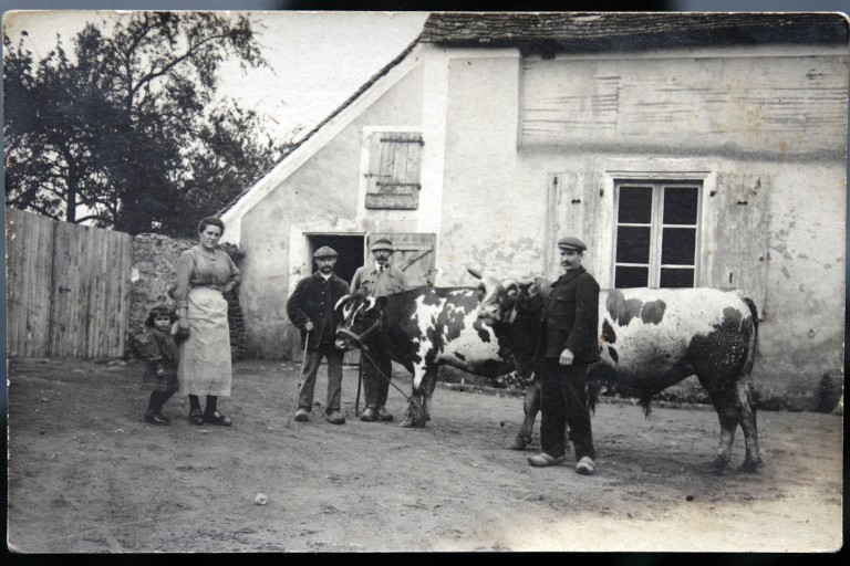 Manoir de la Paysanterie, puis ferme