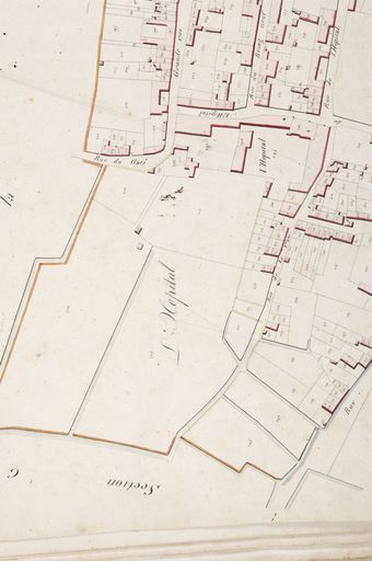 Analyse de l'évolution de la ville de Luçon