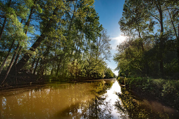 Canal dit la rigole de la Rive droite, canal du Grand Coin