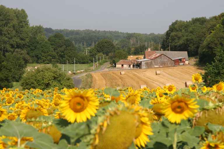 Savigné-sous-le-Lude : présentation de la commune