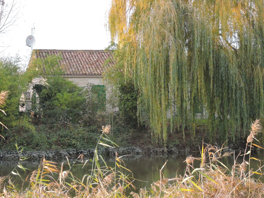 Maison ; île de Charouin