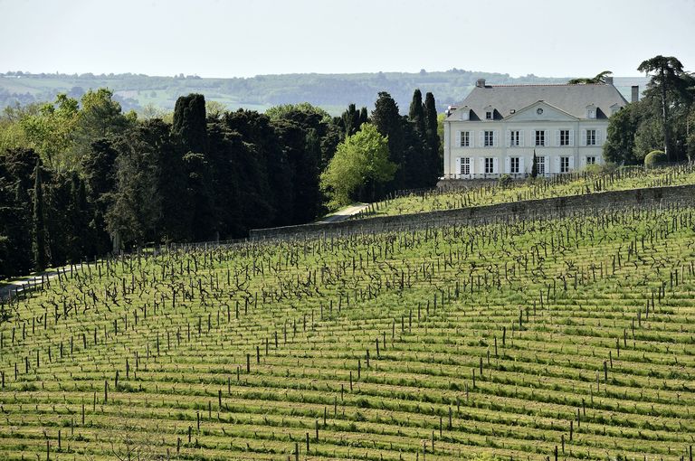 Maison de maître puis château de la Roche-aux-Moines