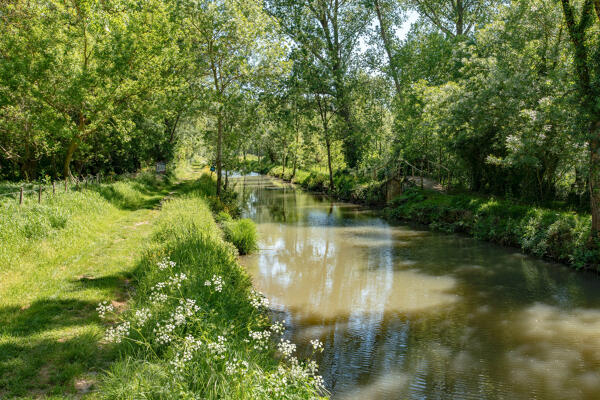 Canal dit la rigole d'Aziré