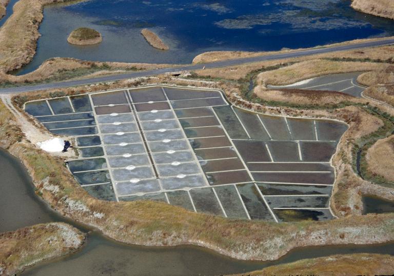 Marais salants de Guérande